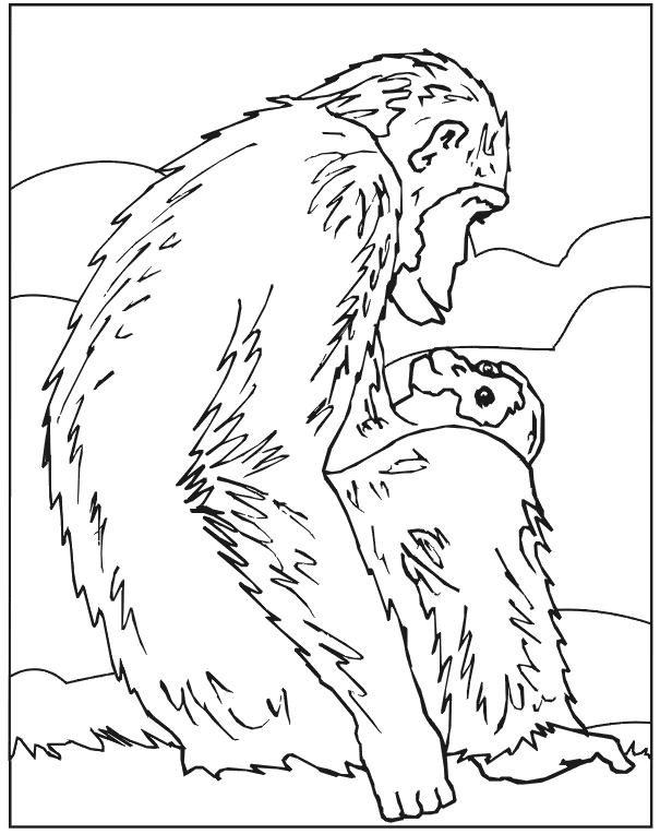 desene de colorat cimpanzeu